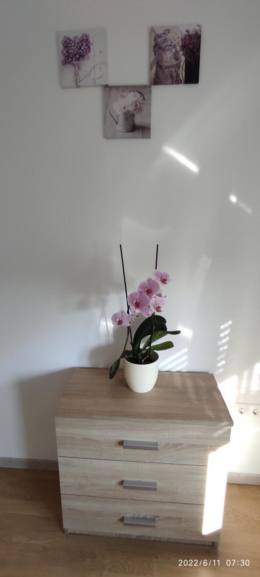 Apartment Zelena Oaza Sisan 75 M2 - 2 Bedrooms Exteriér fotografie